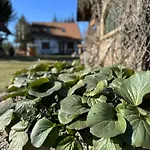 Ostoja Jeziorak *