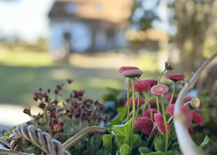 Ostoja Jeziorak Holiday home