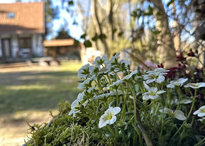 Ostoja Jeziorak Makowo